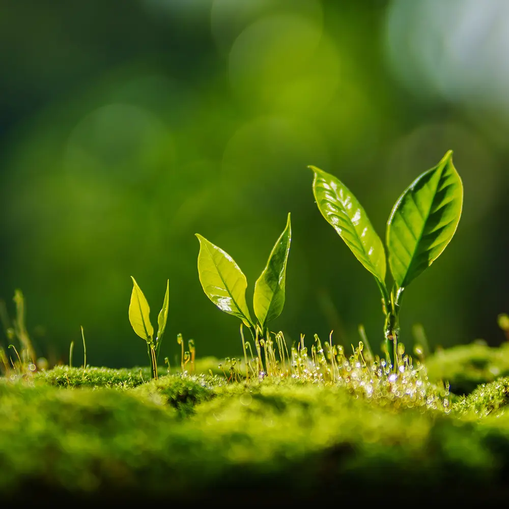 Delivering Measurable Climate and Waste-Management Impact