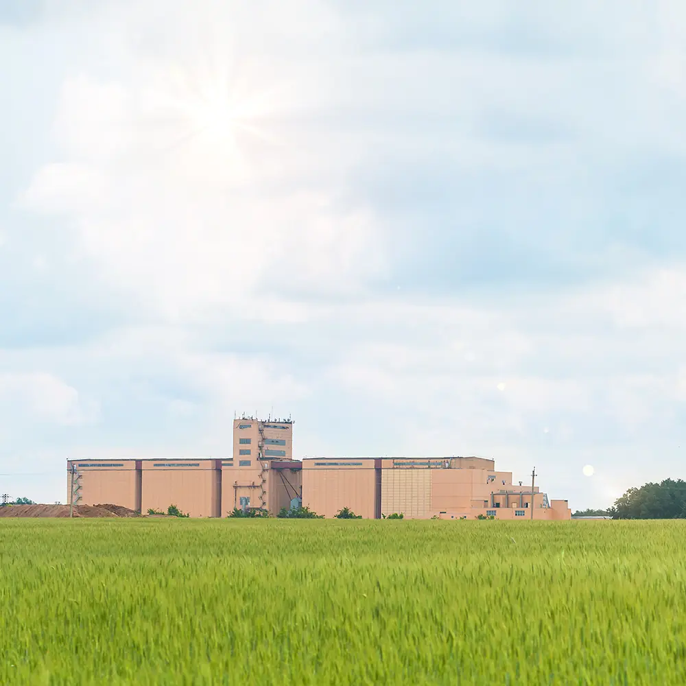 permanent-carbon-removal